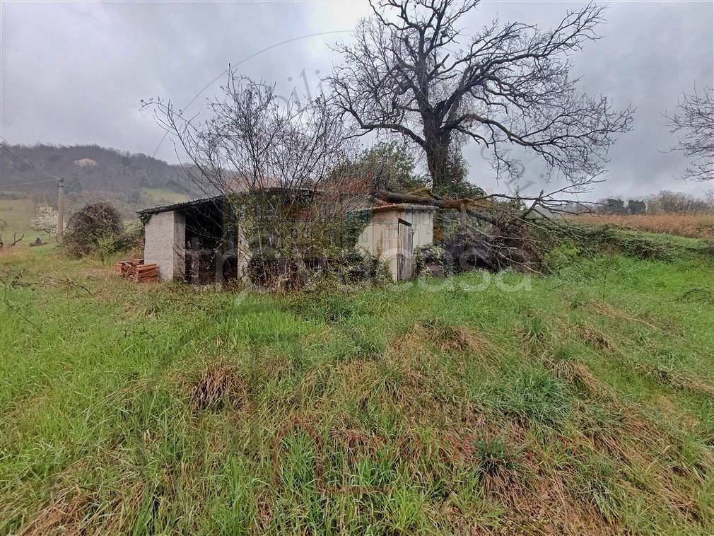 immagine annuncio 12 di 13