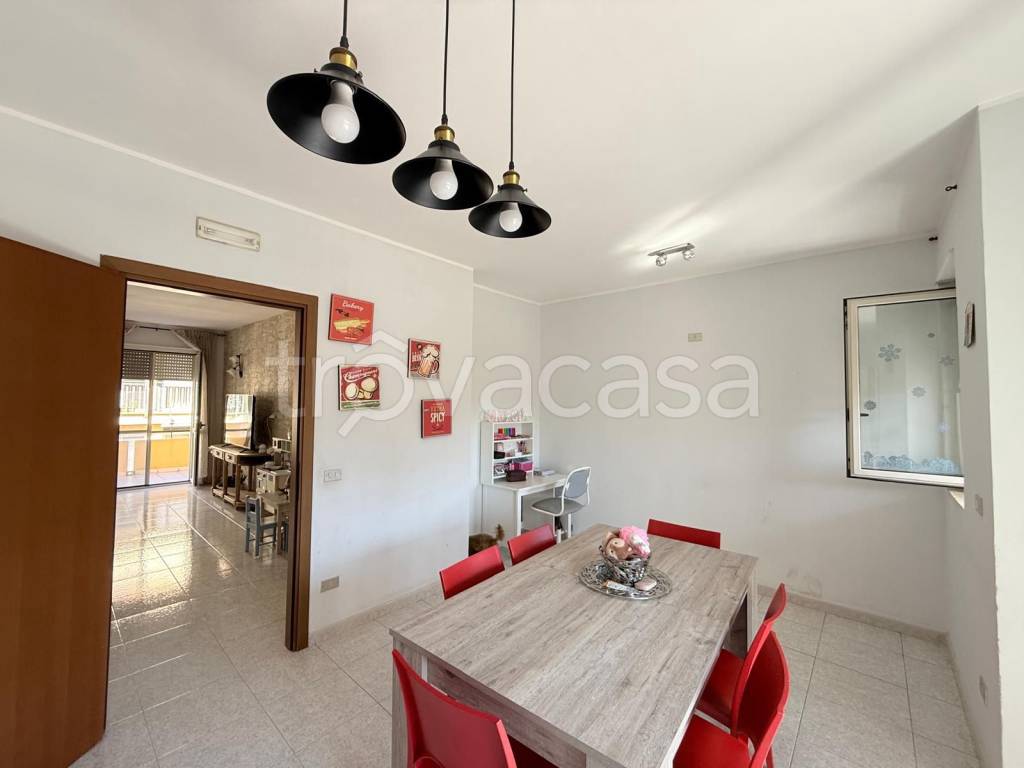 immagine annuncio 6 di 14