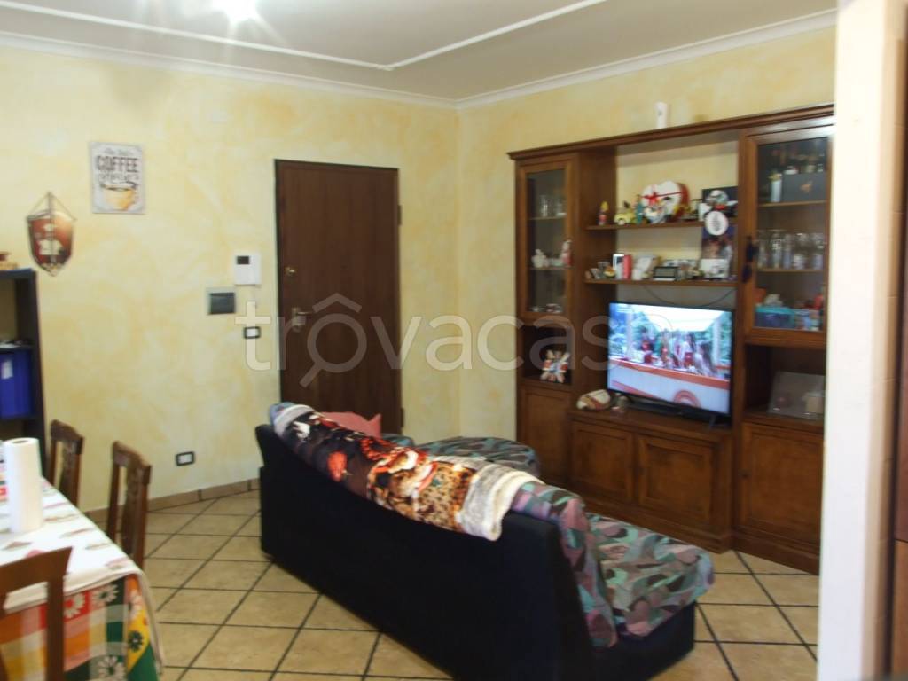 immagine annuncio 3 di 12