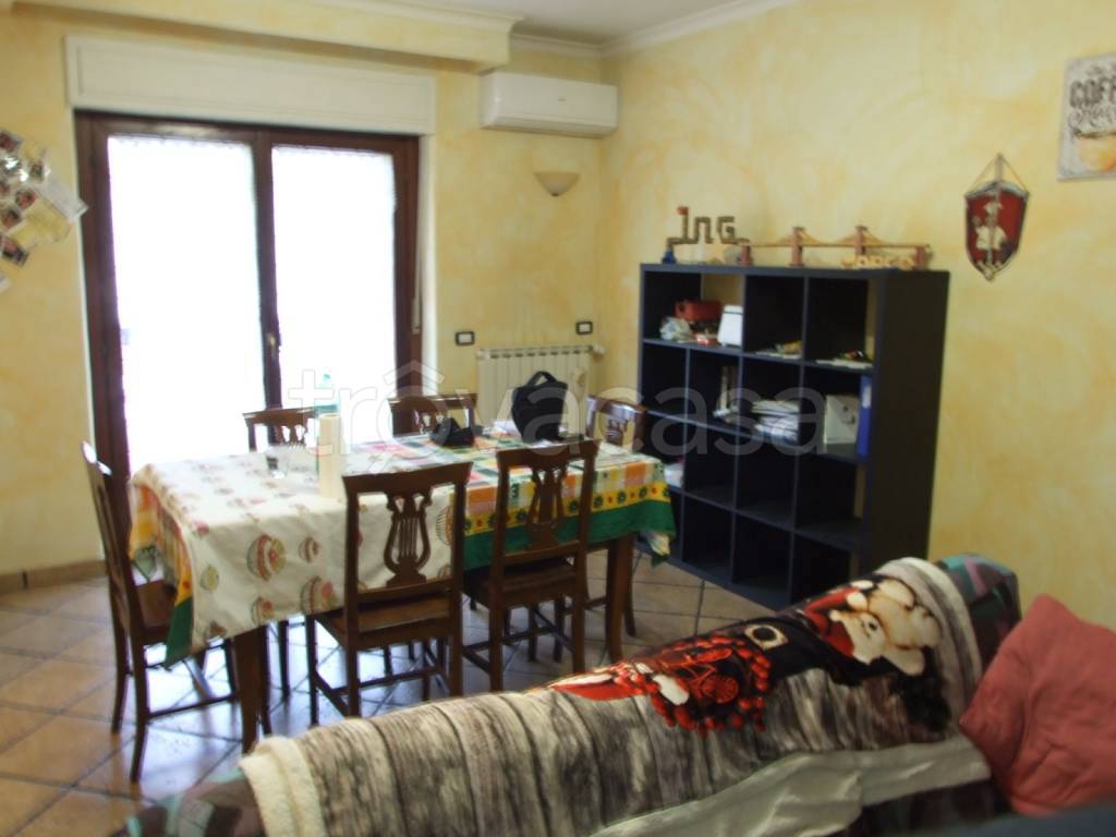 immagine annuncio 4 di 12