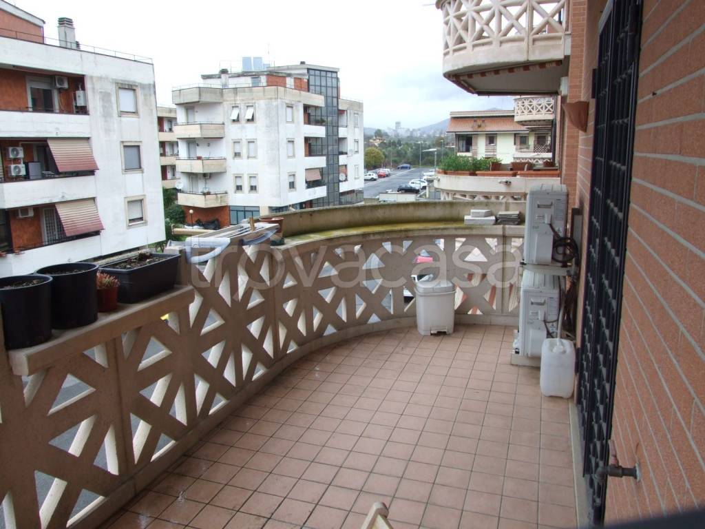 immagine annuncio 8 di 12