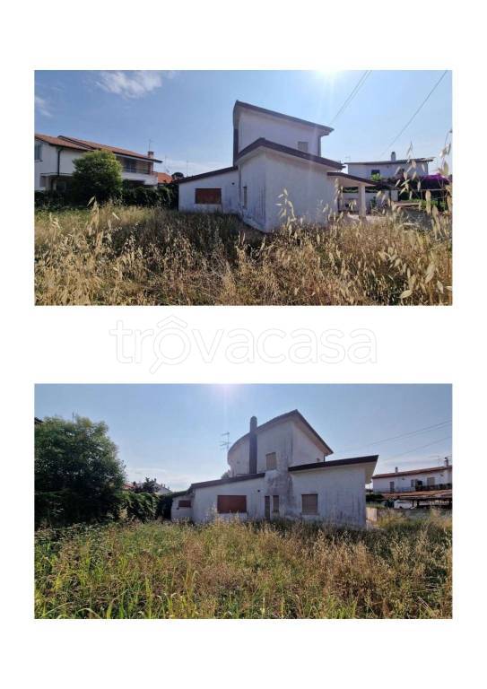 immagine annuncio 3 di 14