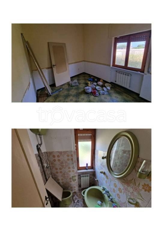 immagine annuncio 7 di 14