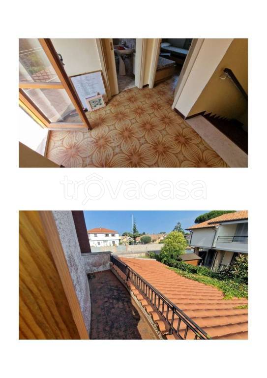 immagine annuncio 12 di 14