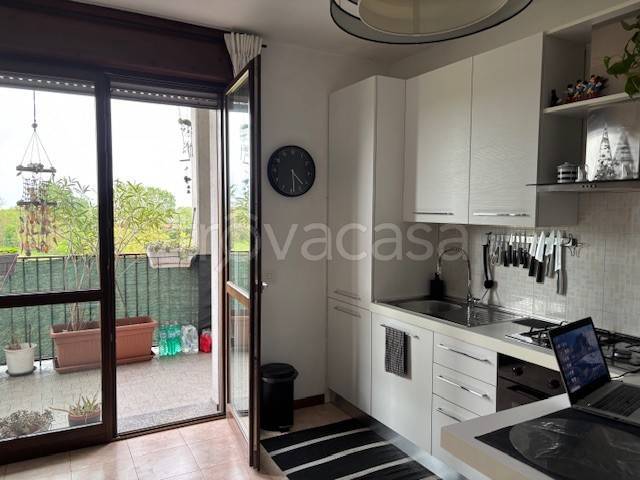 immagine annuncio 3 di 13