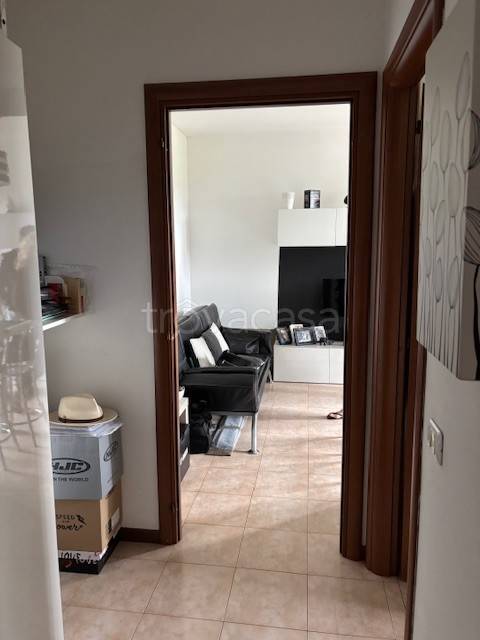 immagine annuncio 7 di 13