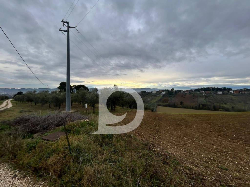 immagine annuncio 4 di 9