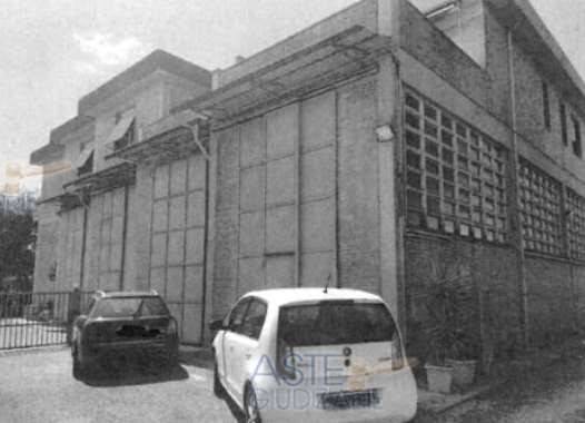 immagine annuncio 10 di 15