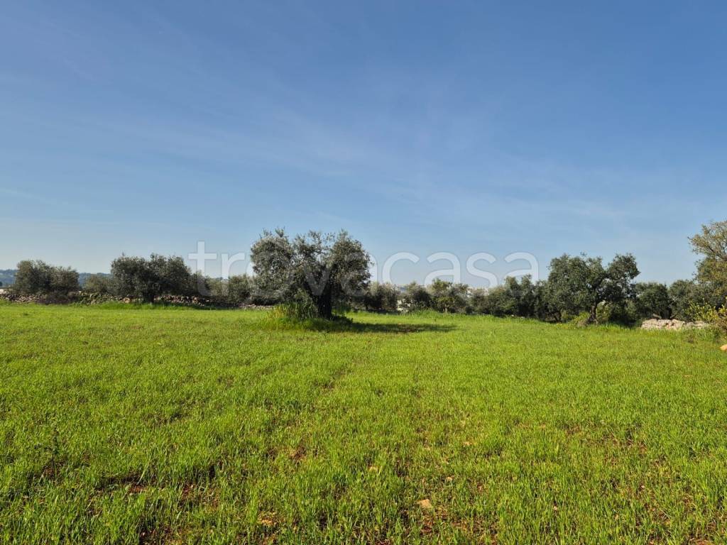 immagine annuncio 12 di 13