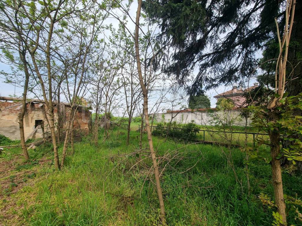 immagine annuncio 6 di 15