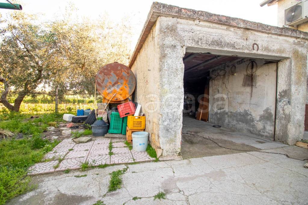 immagine annuncio 11 di 12