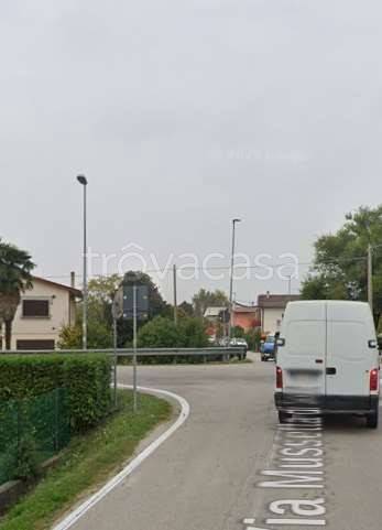 immagine annuncio 4 di 8
