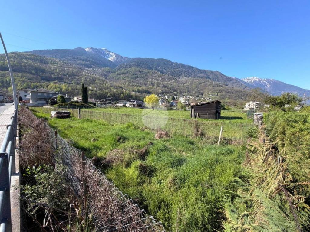 immagine annuncio 2 di 10
