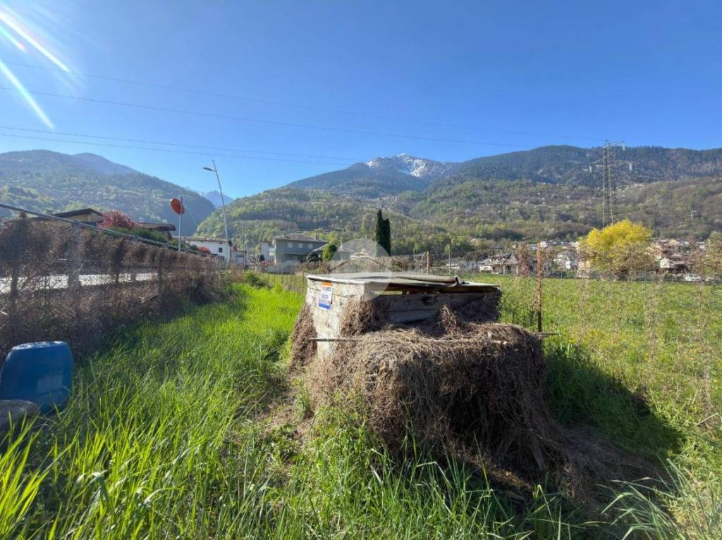immagine annuncio 3 di 10