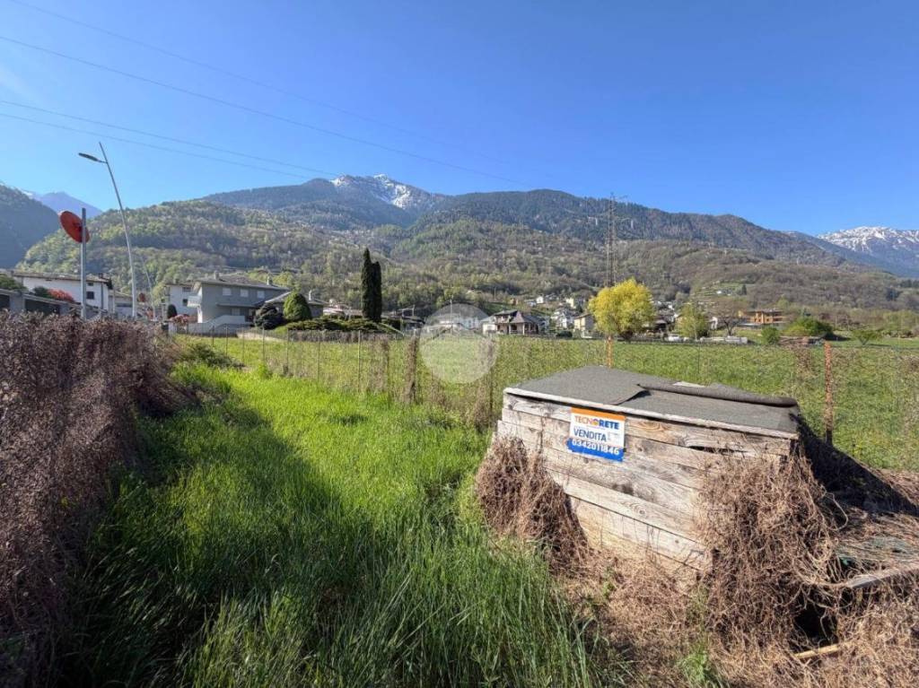 immagine annuncio 4 di 10