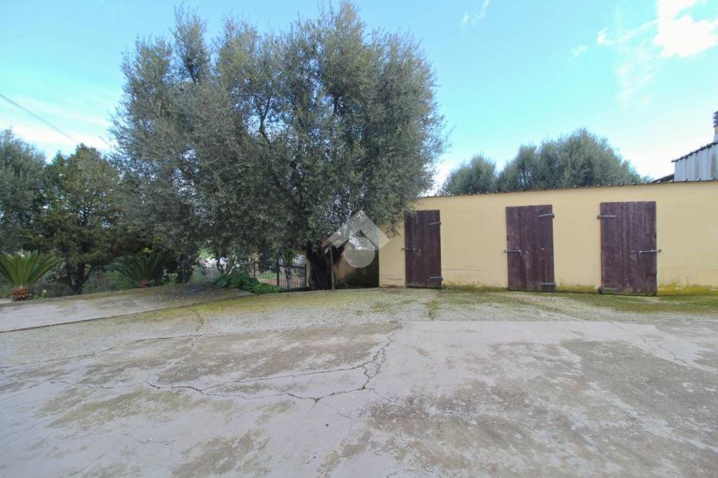 immagine annuncio 9 di 11