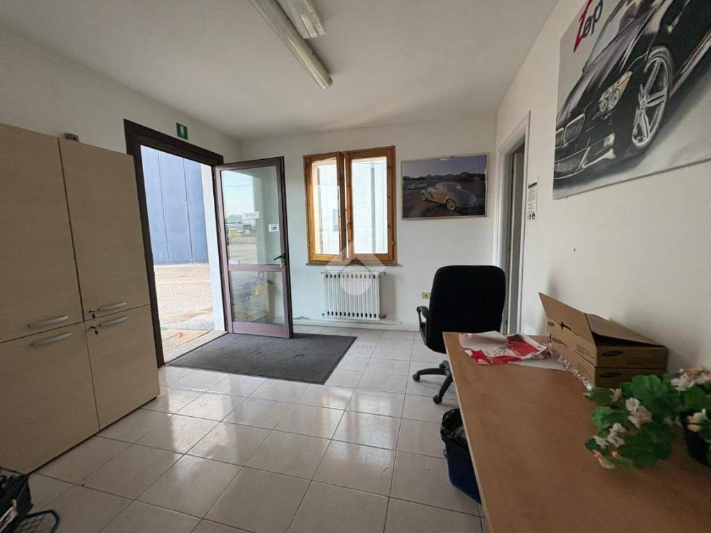 immagine annuncio 9 di 12