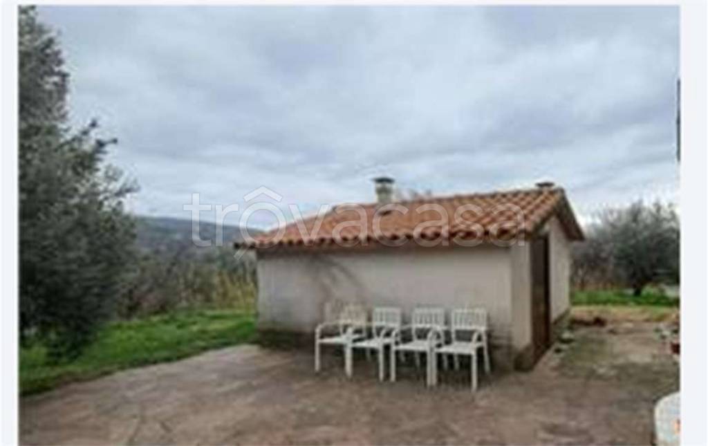 immagine annuncio 4 di 8