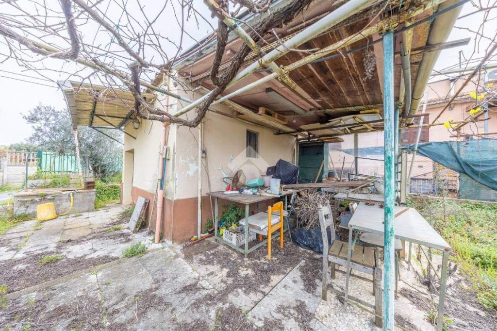 immagine annuncio 10 di 15