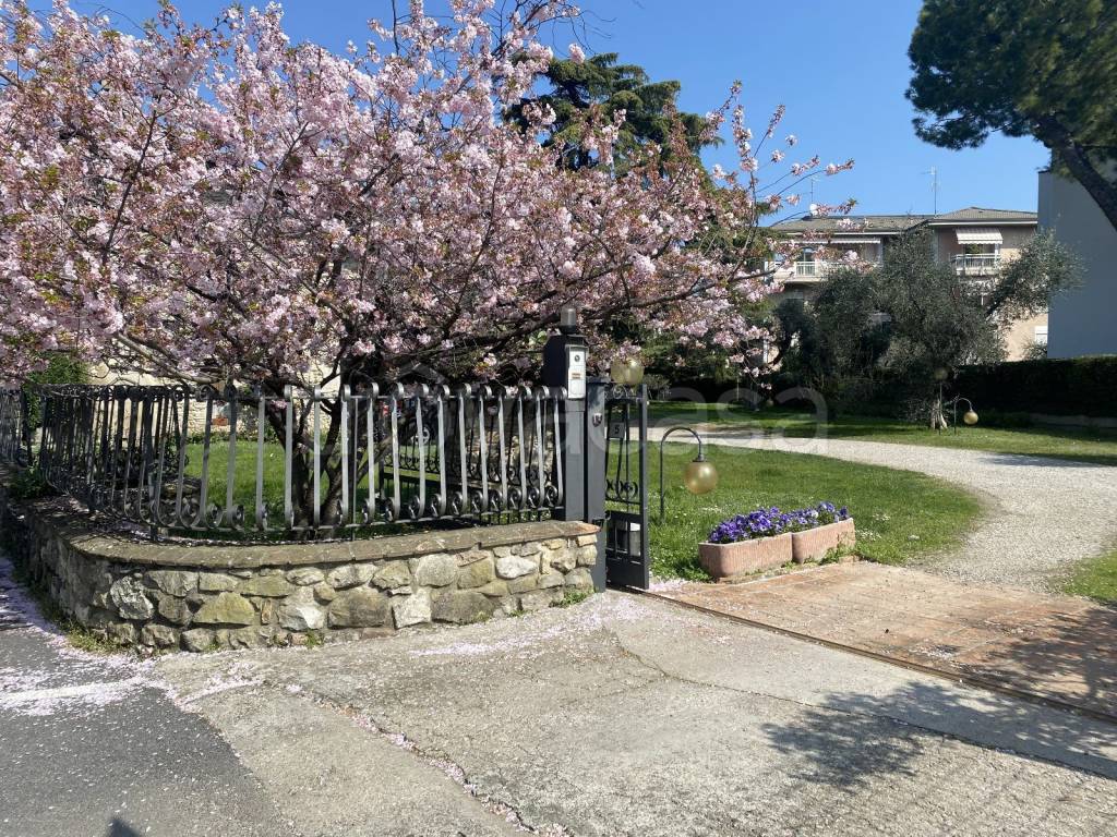 immagine annuncio 1 di 6