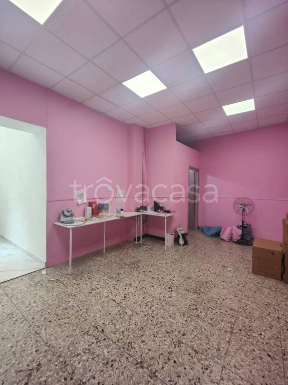 immagine annuncio 6 di 14