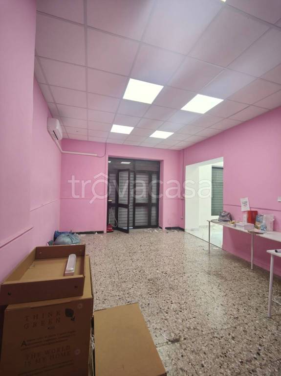 immagine annuncio 12 di 14