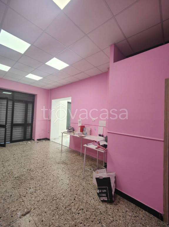 immagine annuncio 13 di 14