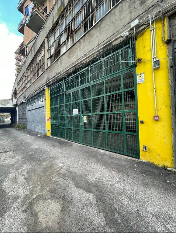 immagine annuncio 4 di 8