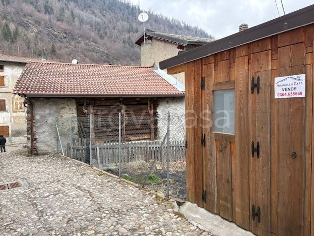 immagine annuncio 4 di 9