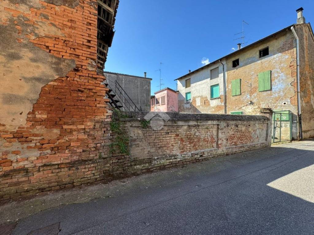 immagine annuncio 1 di 14