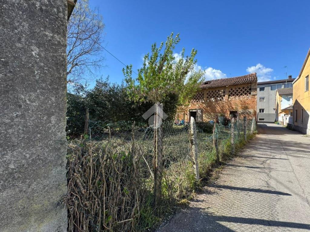 immagine annuncio 3 di 14