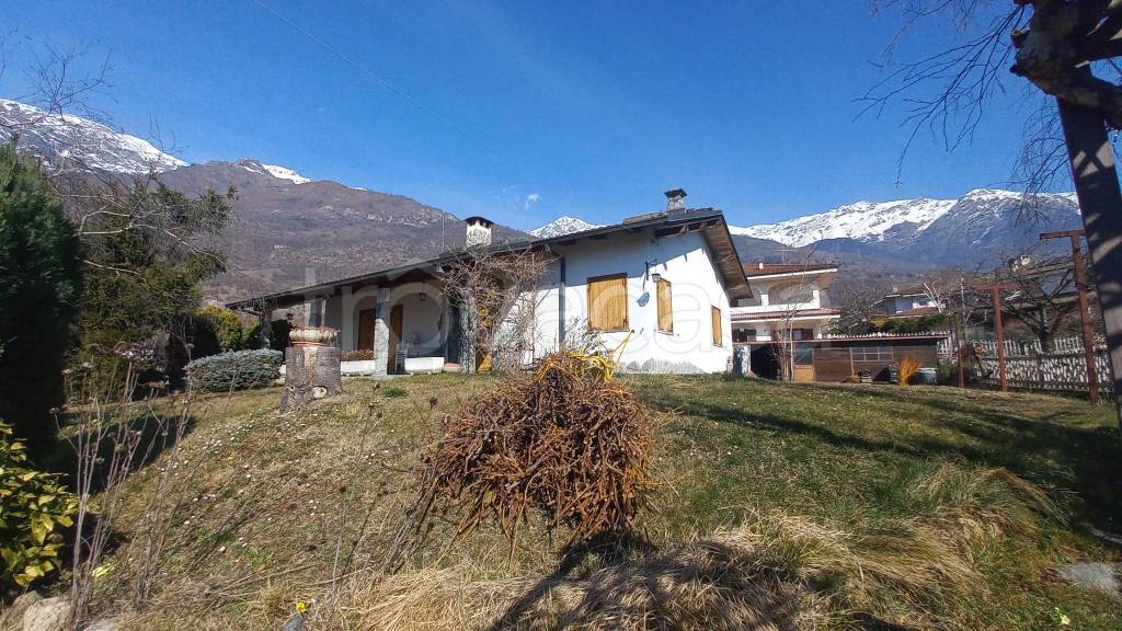 immagine annuncio 12 di 15