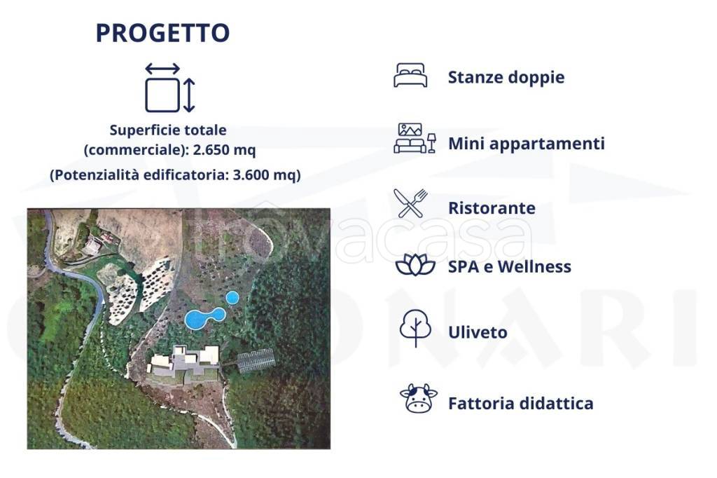 immagine annuncio 3 di 6