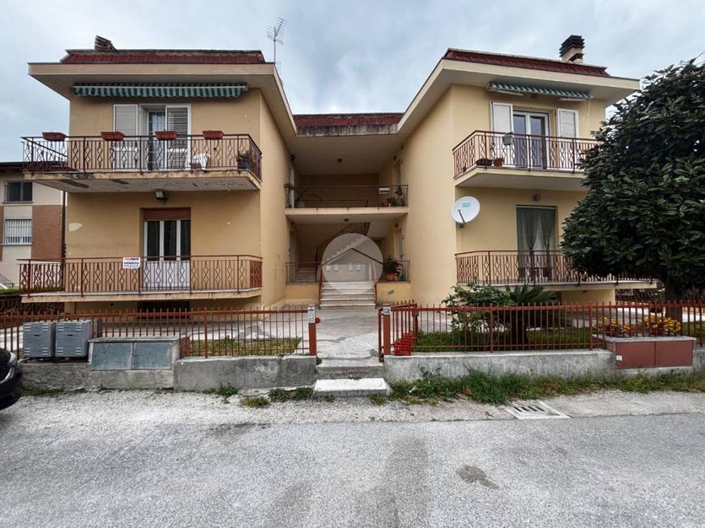 immagine annuncio 11 di 12