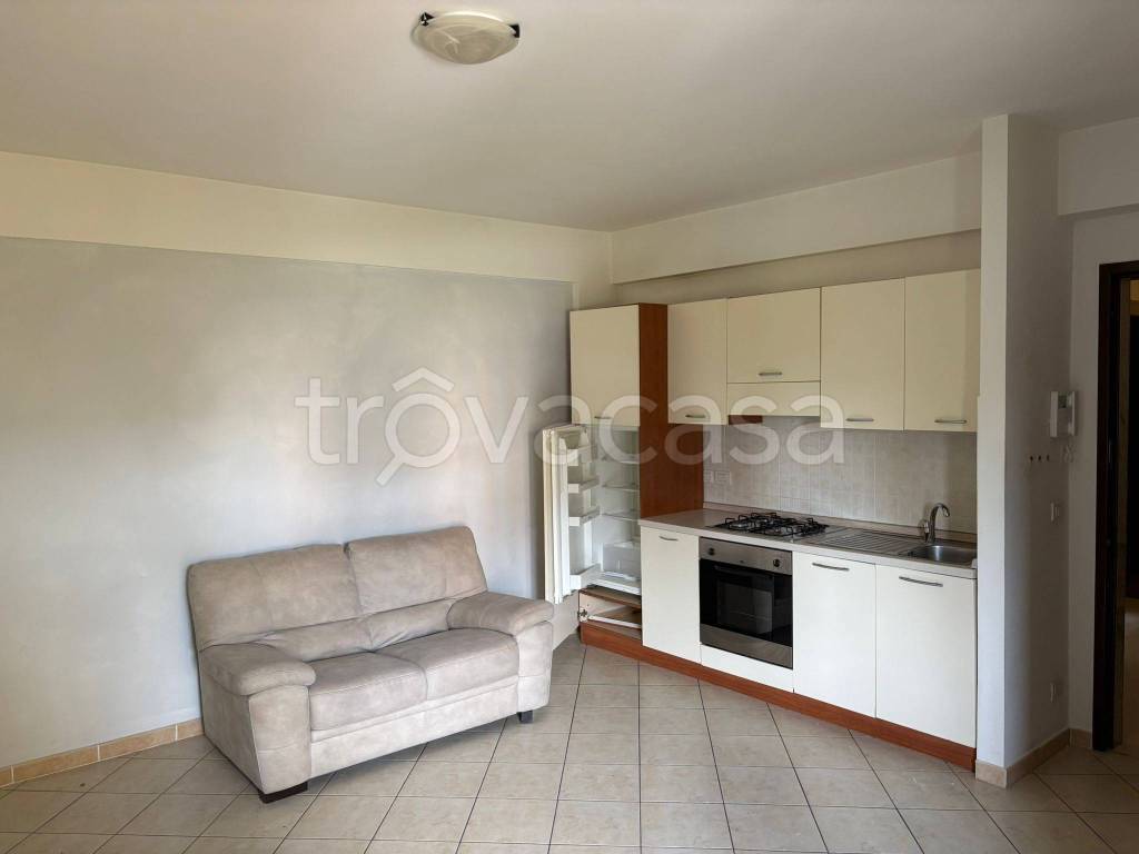 immagine annuncio 2 di 12