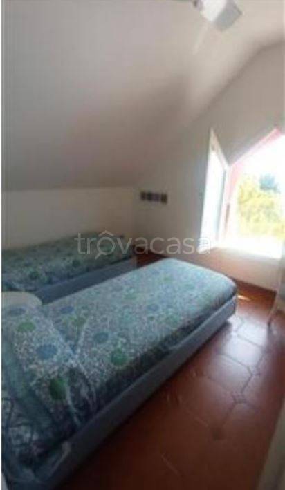 immagine annuncio 9 di 14