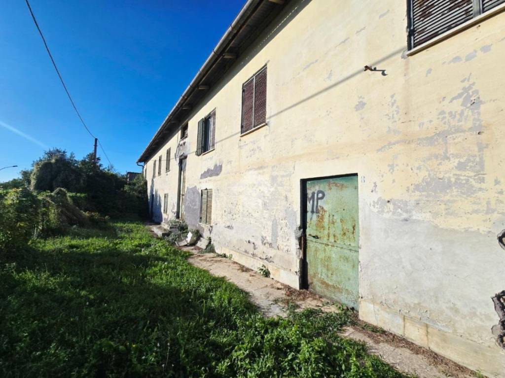 immagine annuncio 1 di 11