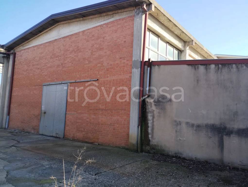 immagine annuncio 1 di 4
