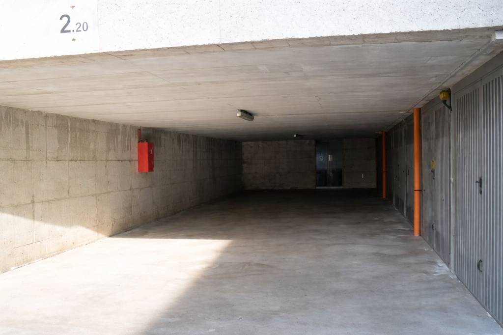 immagine annuncio 5 di 8