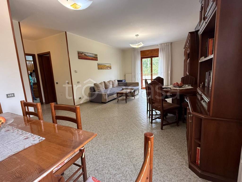 immagine annuncio 2 di 9