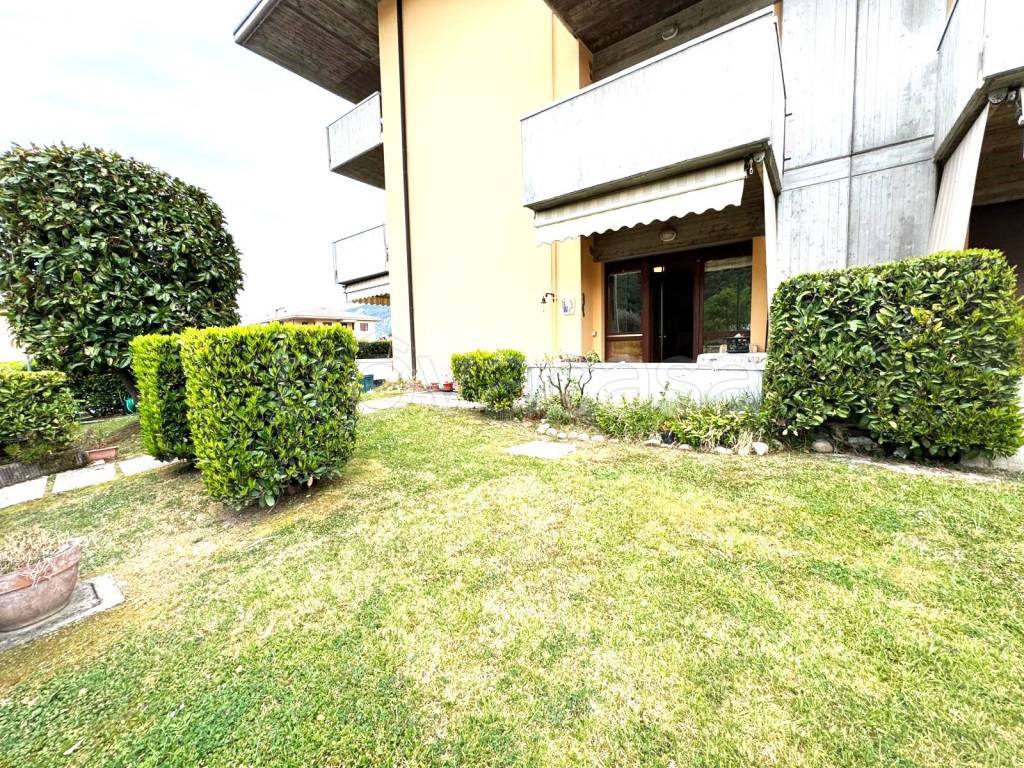 immagine annuncio 1 di 12