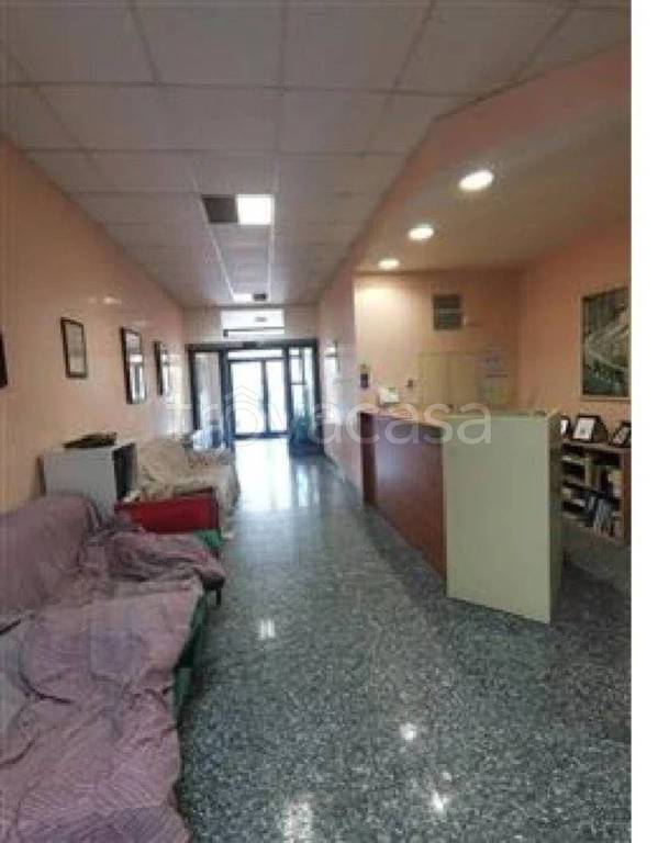 immagine annuncio 7 di 12
