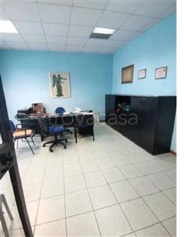 immagine annuncio 9 di 12
