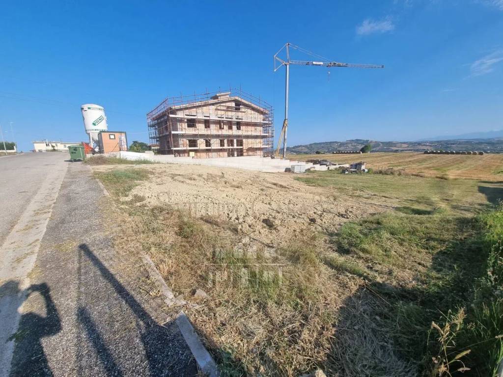 immagine annuncio 1 di 12