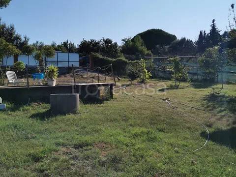 immagine annuncio 5 di 7