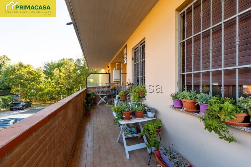 immagine annuncio 5 di 12