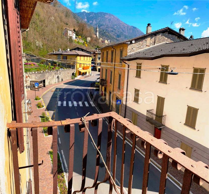 immagine annuncio 6 di 14