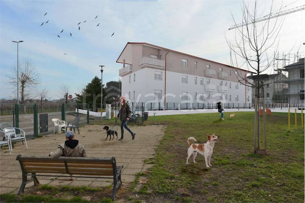 immagine annuncio 1 di 2