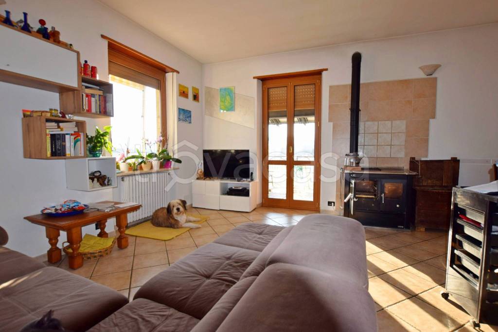 immagine annuncio 11 di 15