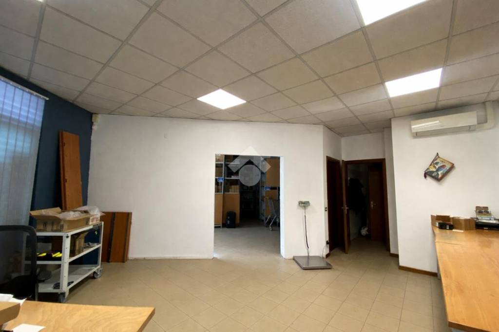 immagine annuncio 9 di 12